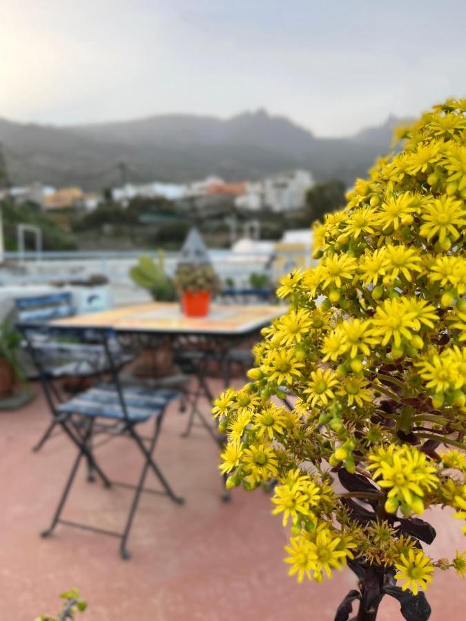 فيلا Casa Tesalia غيمار المظهر الخارجي الصورة